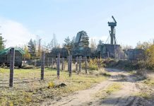 Партизани проникли в розташування підрозділу ППО біля Санкт-Петербурга